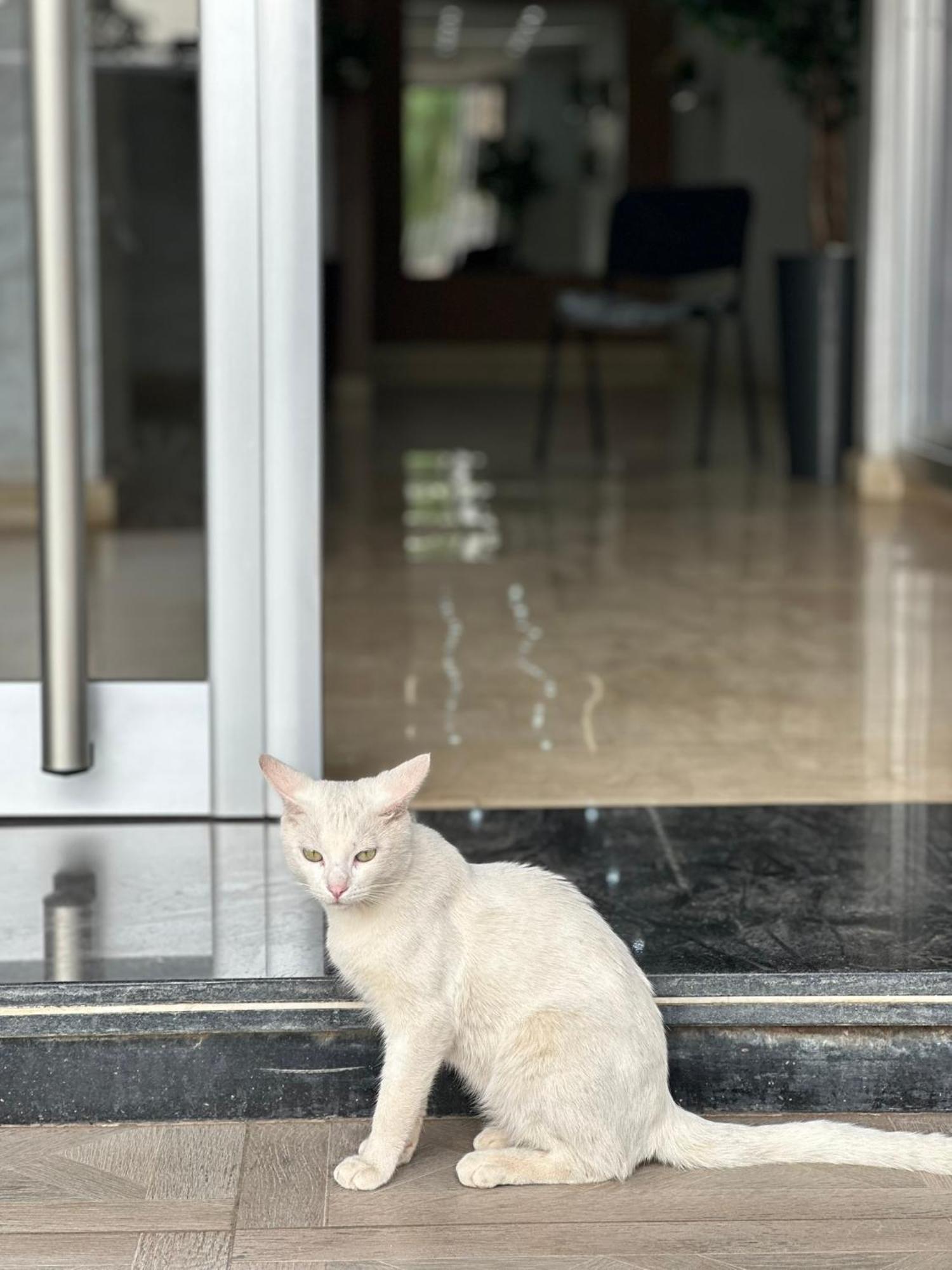 Luxe Appartement Berkane Kültér fotó